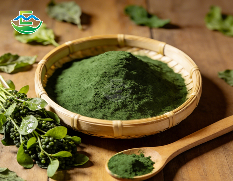 pure Chlorella Powder